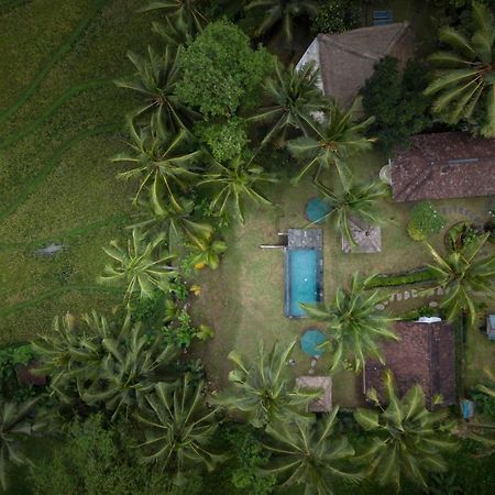 Green Sari Private Villa Ubud  Exterior photo